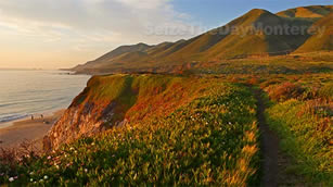 Garrapata State Park in Big Sur California if Gorgeous!