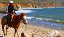 Horseback riding on Molera State Beach in Big Sur is quite a treat. Your young ones will love it!