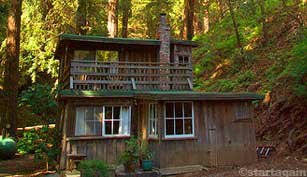 Big Sur Cabin nestled in the Redwoods!