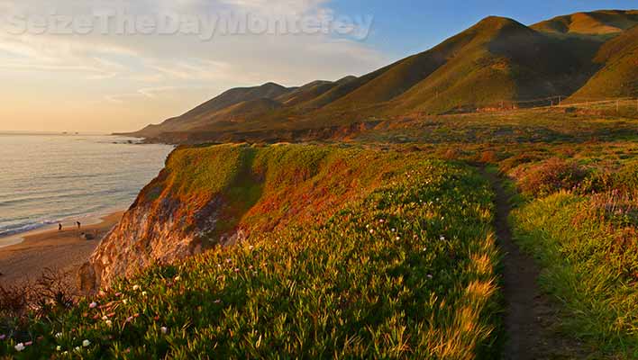 Big Sur offers some of the best and most scenic hikes in California.