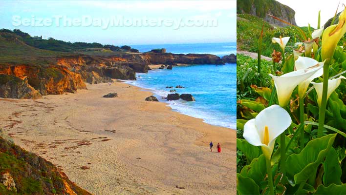 One of the best Big Sur Beaches for walking is Garrapata Beach