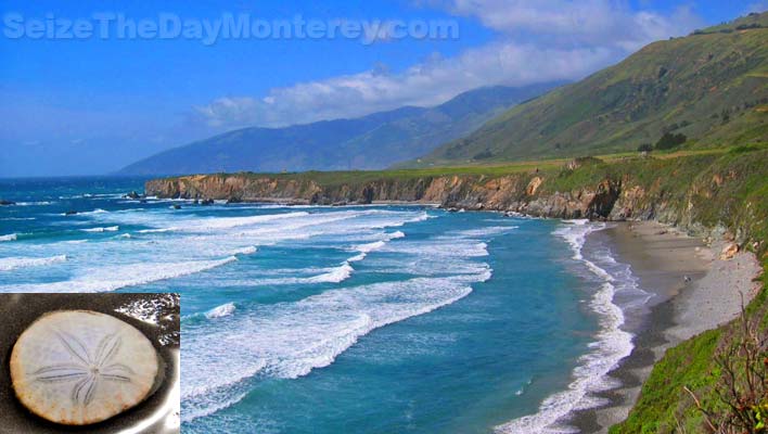 Sand Dollar Beach in Big Sur is known for it's Sand Dollars, but go early to beat the birds!  This Big Sur Beach gets its name for a reason!