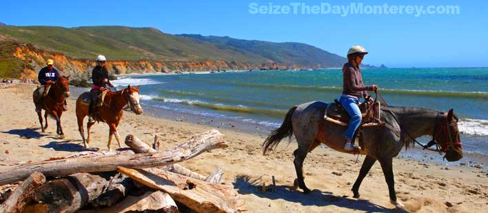 Horseback Riding Tours on Andrew Molera Beach in Big Sur California is Great Fun!