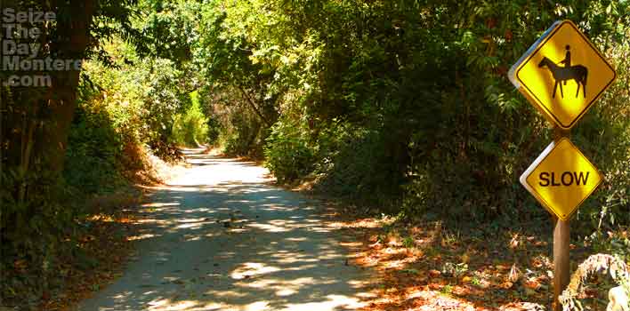 Molera Horseback Tours in Big Sur CA is great fun!