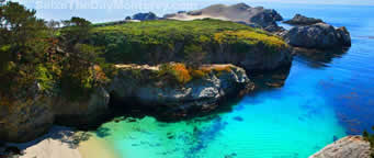 Point Lobos is a great place to check out while camping in Big Sur.  There is no camping there though.