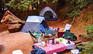 Ventana Campground charges $5 per night per dog with a limit of 2 dogs.
