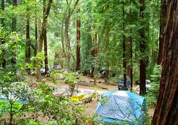 Big Sur camping amongst the Redwood Trees and near the Big Sur River is just heaven!