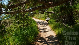 Big Sur Hiking Trails are some of the best in California