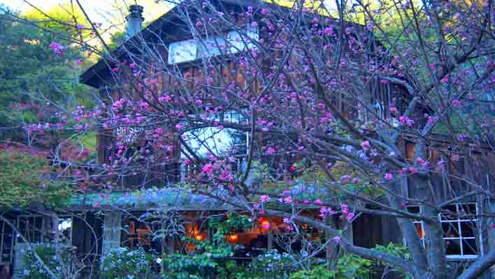 Big Sur Lodging for Under $100 can be had at Deetjens along with the best breakfast in Big Sur!