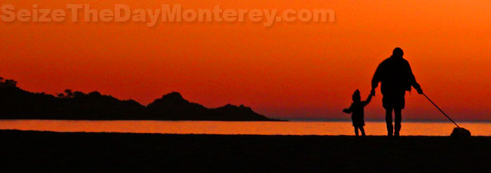 Big Sur Lodging with Pets is a tough one, most places don't accommodate pets but some do!