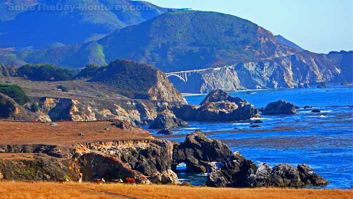 Big Sur Lodging with pets is challenging but not impossible.  It's worth it!