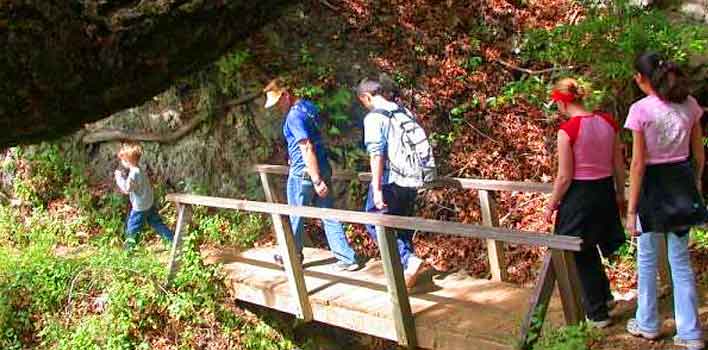 Big Sur Lodging for under $100 does exist!