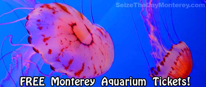 Free Monterey Aquarium Tickets from the county library can be had!
