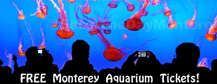 Get up to 6 Free Monterey Bay Aquarium tickets from the County Library each and every month!