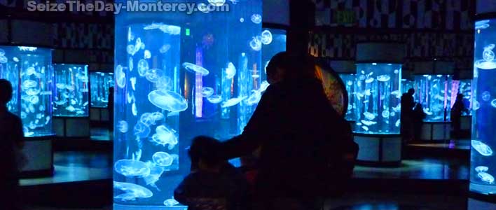 Free Monterey Aquarium Tickets from the Monterey county library can be had!  The Jellyfish display is amazing!