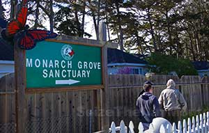 Entrance to the Monarch Sanctuary in Pacific Grove