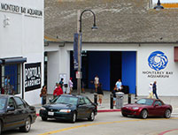 The entrance is just down the way from where you can get Free Monterey Bay Aquarium Parking!