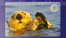 You Can get Monterey Bay Aquarium Discount Tickets by purchasing a Membership if you have a large party!