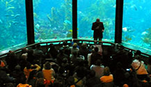 The Feeding Sessions are really really cool at the Monterey Bay Aquarium.  Get there early though to get a good seat.