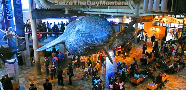 The Monterey Aquarium is one of the best Aquariums in the World for a reason!