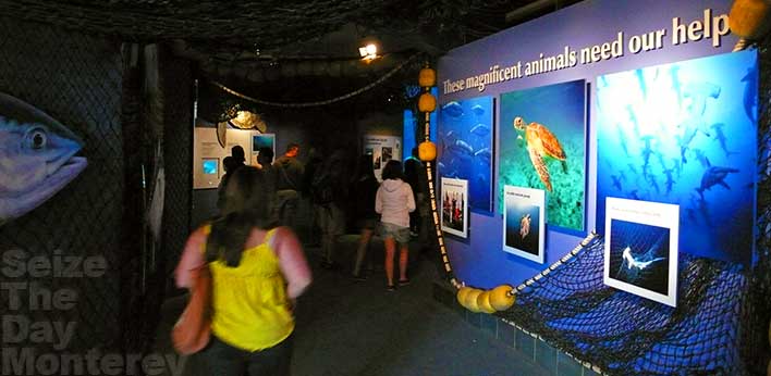 The Monterey Aquarium has a tremendous conservation program which includes educating its patrons.