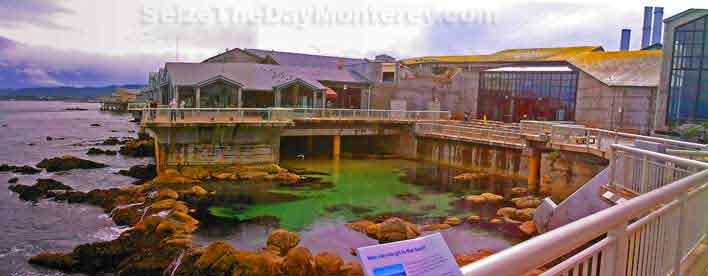 Monterey Aquarium Deck offers great views of the Bay!