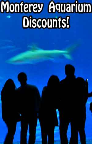 Don't miss the Sharks in the window to the bay display.   Monterey Bay Aquarium discount tickets are availablel!