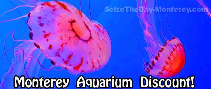 Get your Monterey Bay Aquarium Discount Ticket!