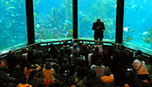 Don't miss the feeding sessions at the Monterey Aquarium!  Get there early to get a good seat! 