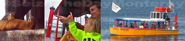 The Monterey Glass Bottom Boat Harbor Cruise is a good way to get a view of Monterey from the Water! 