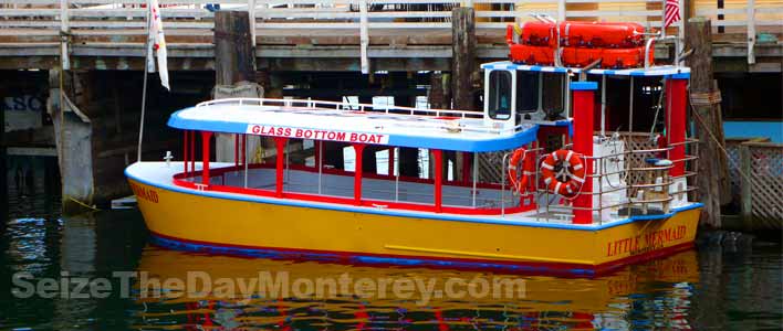 The Harbor Cruise in Monterey is great fun for the kids and adults!