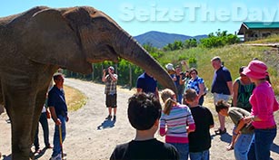 Wild Things Animal Park is fun for the kids, especially feeding the elephants!