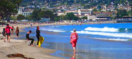 Monterey State Beach is a popular place to build sand castles, boogie board, walk the dog, and so much more!