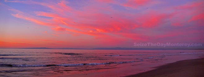 Pink Cotton Candy Clouds after a Sun Set in Monterey are Beautiful