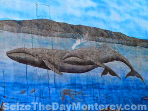 Famous Grey Whale Mural on Cannery Row.