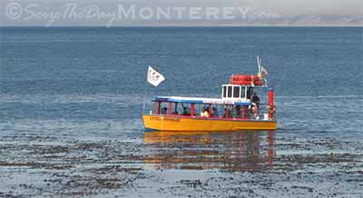 The Monterey Harbor Cruise is a relaxed 30 minute cruise around the Harbor.  Lots of fun for the younger ones.