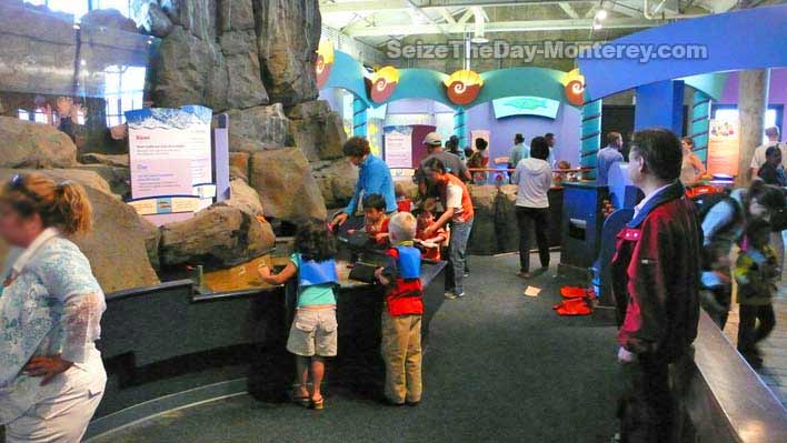 Kids of all ages love the Monterey Bay Aquarium.  There is a lot of Monterey kids fun to be had at the aquarium!