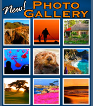 All New Monterey Photo and Picture Gallery!