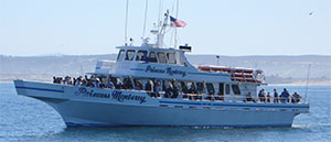 Monterey Whale Watching is a lot of fun expecially for kids!