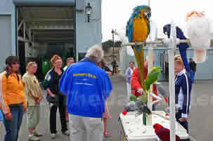 George's Birds on the Wharf in Monterey