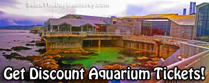 Monterey Bay Aquarium Discount Tickets can be had.  Be sure to enjoy the Bay View from the Aquarium's Deck!