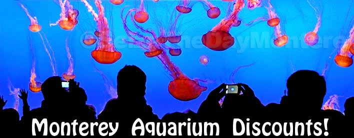 Monterey Bay Aquarium Discount Tickets can be had and if you can believe it even FREE ones are Available!