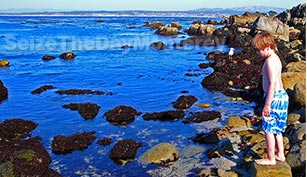 Tidepooling in Monterey is an amazing thing to do with your kids so join them!