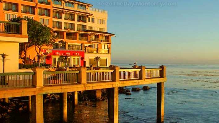 Purchase your Monterey Bay Aquarium Tickets with these tips to enjoy the aquarium to the fullest!