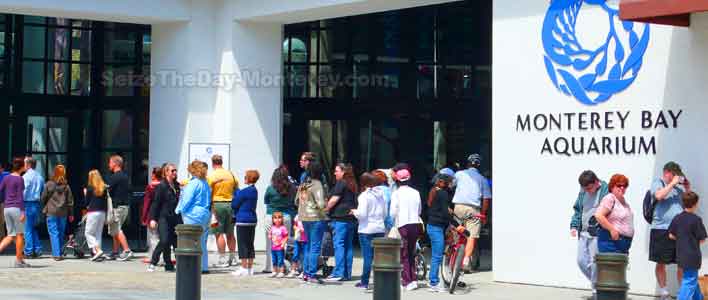 Skip the line at the Monterey Bay Aquarium!  It's a waste of your time